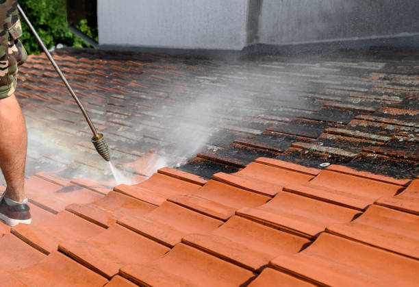 Best Roof Power Washing Services  in Pelican Marsh, FL