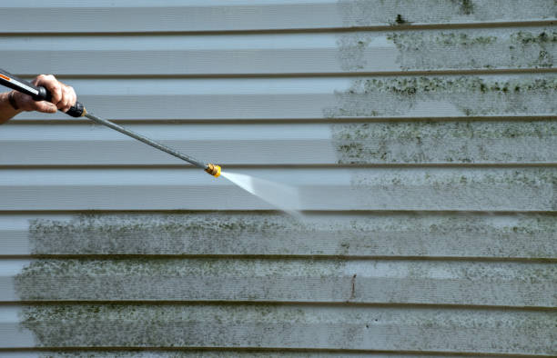 Best Local Pressure Washing Services  in Pelican Marsh, FL